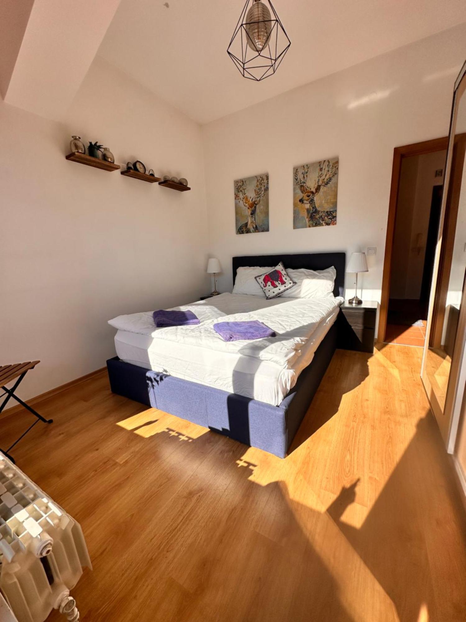PM Services Semiramida Apartments Borovets Exterior foto