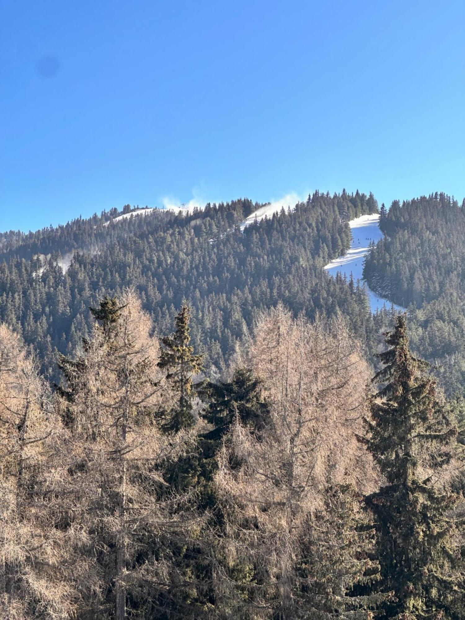 PM Services Semiramida Apartments Borovets Exterior foto